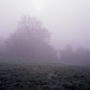 photo 01