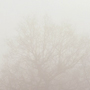 photo 02