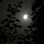 photo 06